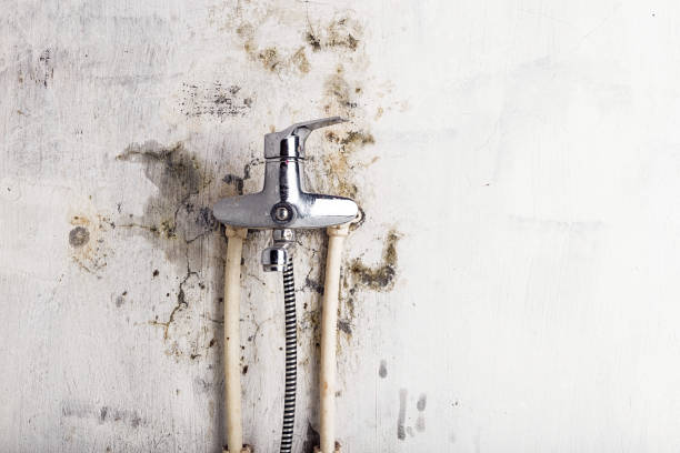 Best Certified Mold Removal  in Sanford, CO