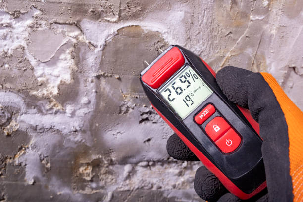 Best Mold Removal Near Me  in Sanford, CO