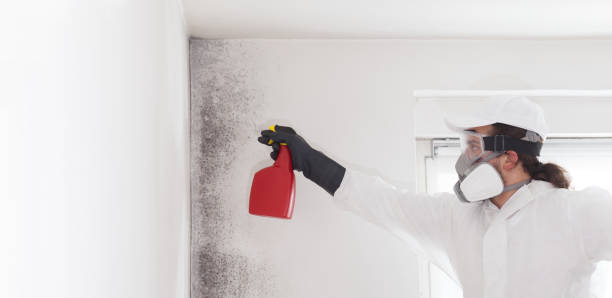 Mold Removal and Inspection in Sanford, CO