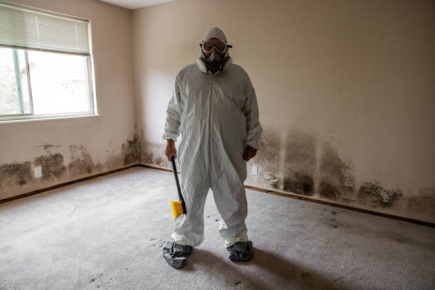 Best Black Mold Removal  in Sanford, CO